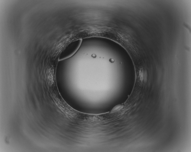 X0000100351348200806061105
