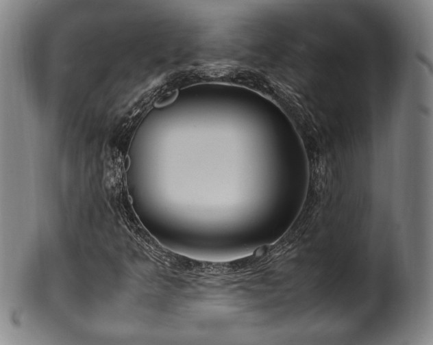 X0000100351349200806061105
