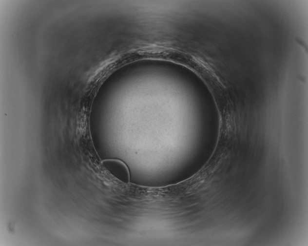 X0000100351350200806061105