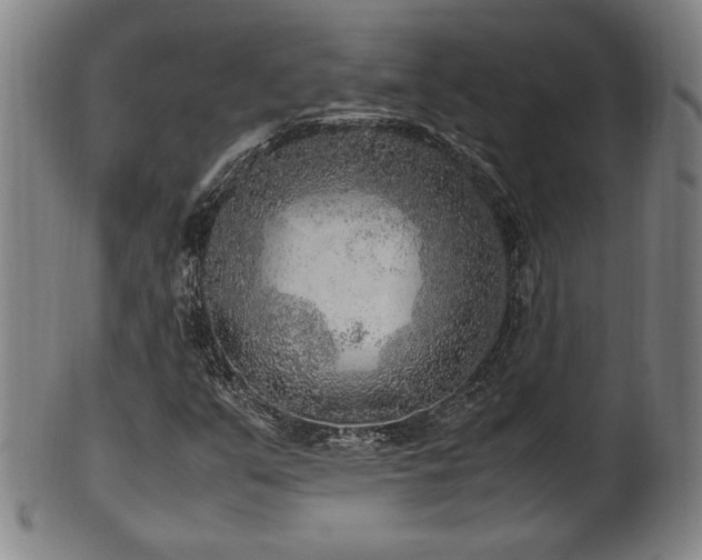X0000100351351200806061105