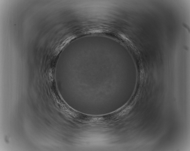 X0000100351353200806061105