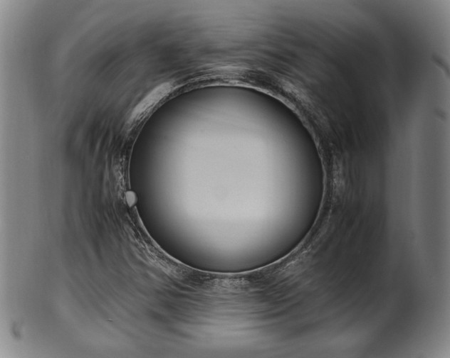 X0000100351354200806061105