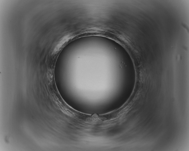 X0000100351355200806061105