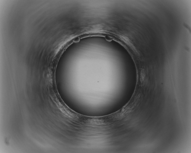 X0000100351356200806061105