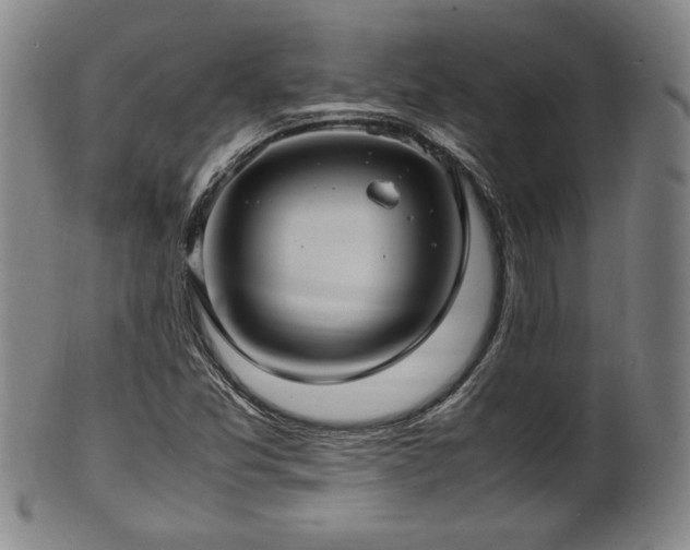 X0000100351357200806061105