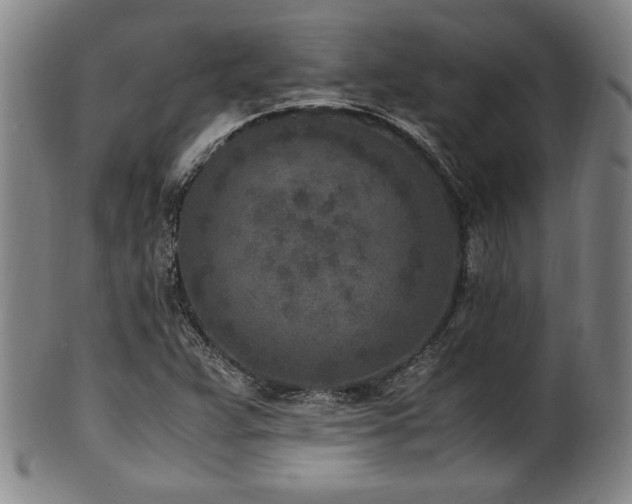 X0000100351359200806061104