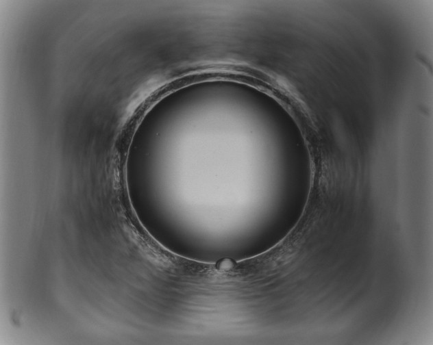 X0000100351360200806061104