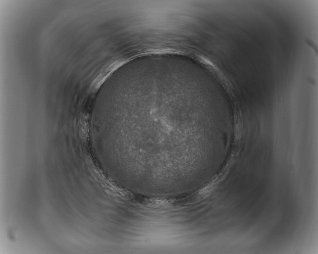 X0000100351361200806061104