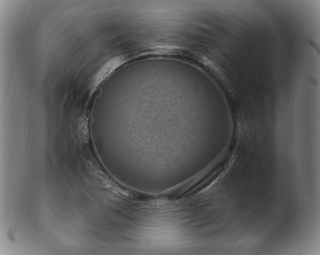 X0000100351362200806061104