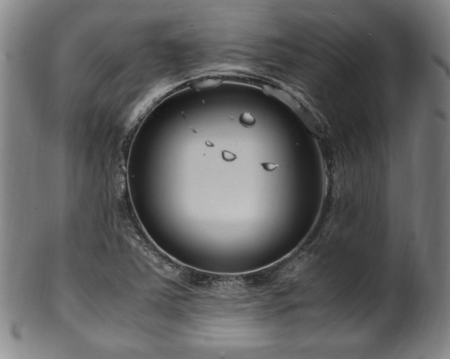X0000100351363200806061104