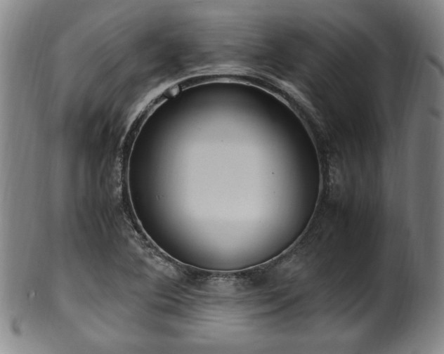 X0000100351364200806061104