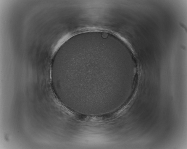 X0000100351365200806061104