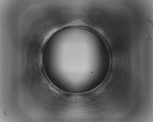 X0000100351366200806061104