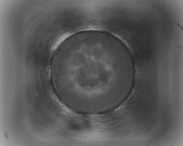 X0000100351367200806061104
