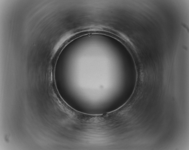 X0000100351368200806061104