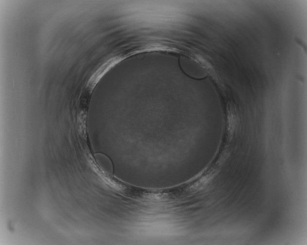 X0000100351369200806061104
