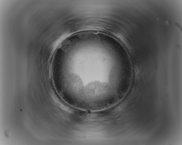X0000100351371200806061104