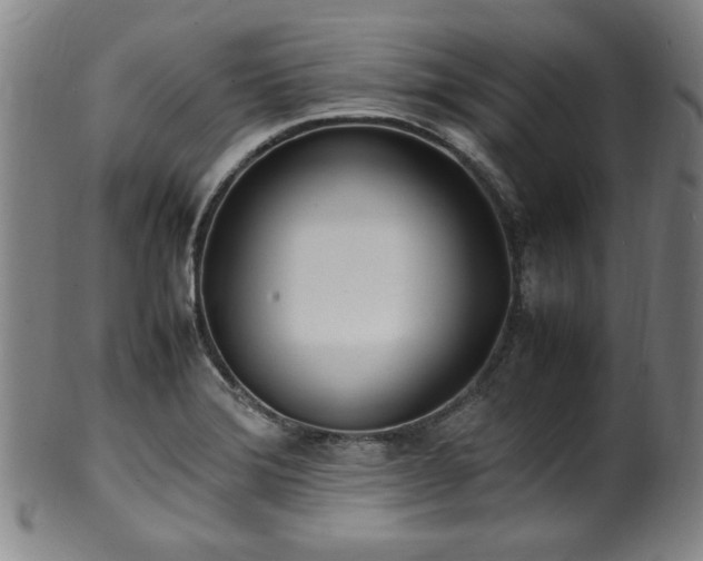 X0000100351372200806061104