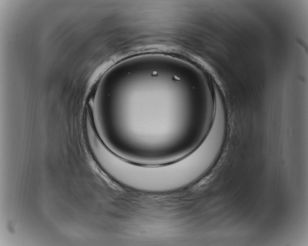 X0000100351373200806061104