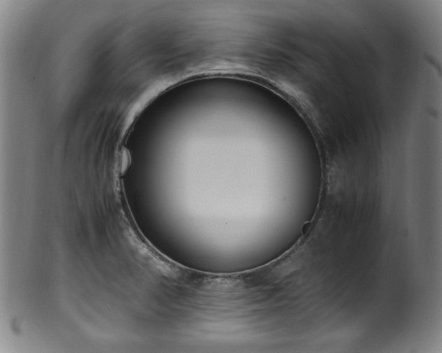 X0000100351374200806061104