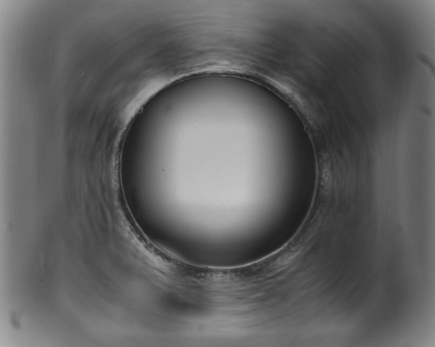 X0000100351375200806061104