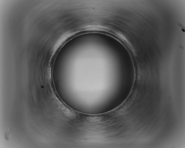 X0000100351376200806061104