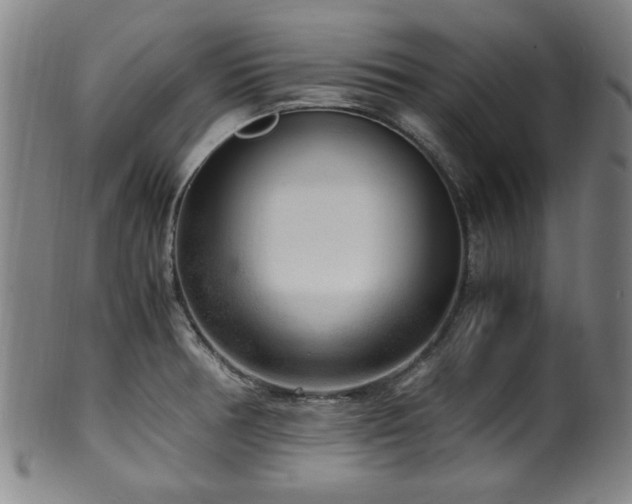 X0000100351378200806061104