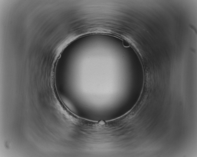 X0000100351379200806061104