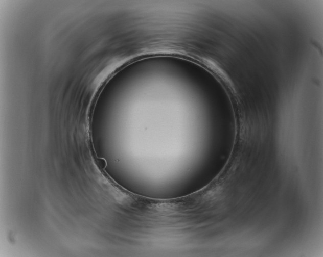 X0000100351380200806061104