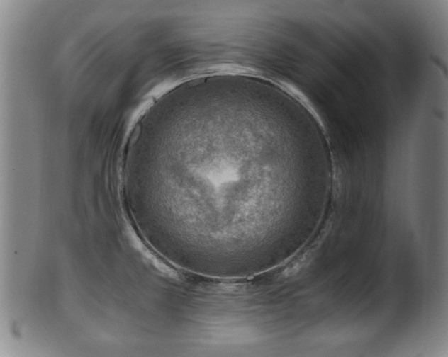 X0000100351381200806061104