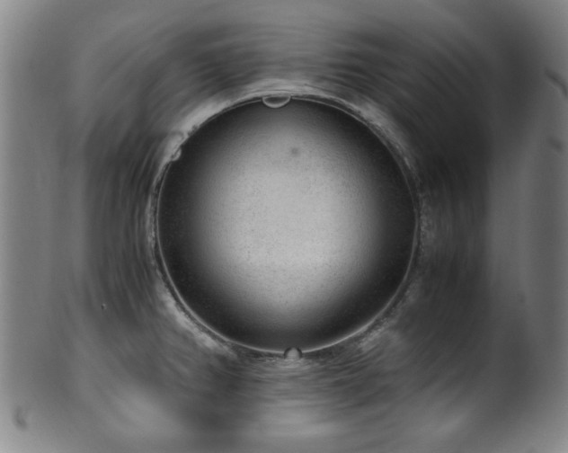 X0000100351382200806061104