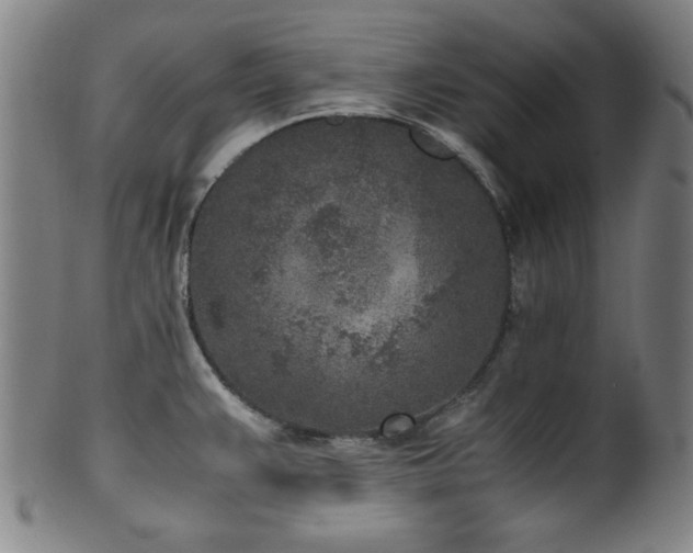 X0000100351383200806061104