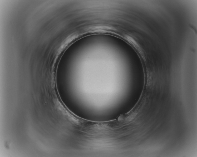 X0000100351384200806061104