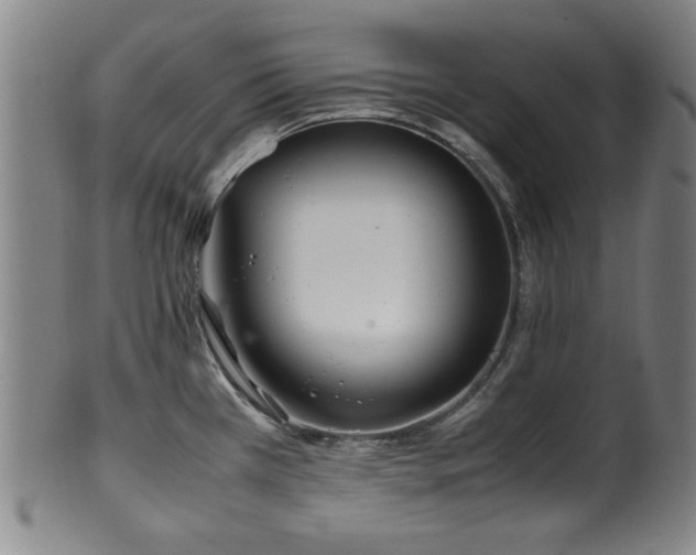 X0000100351385200806061104
