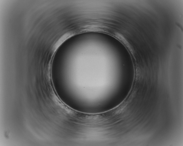 X0000100351386200806061104