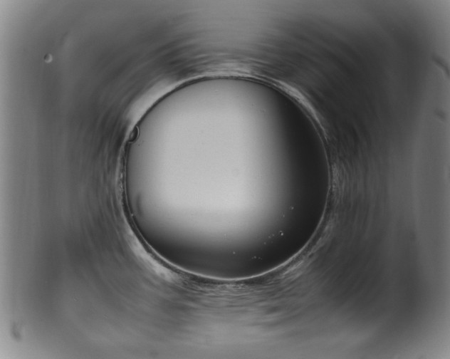 X0000100351387200806061104
