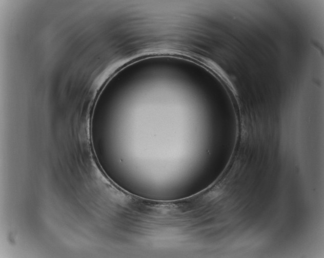 X0000100351388200806061104