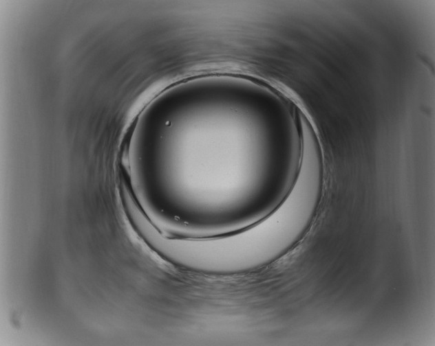 X0000100351389200806061104
