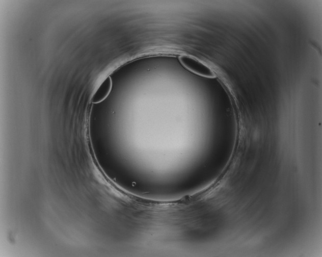 X0000100351390200806061104
