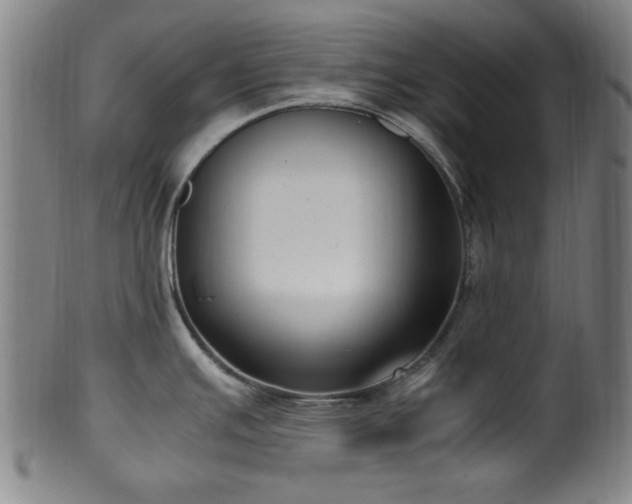 X0000100351391200806061104