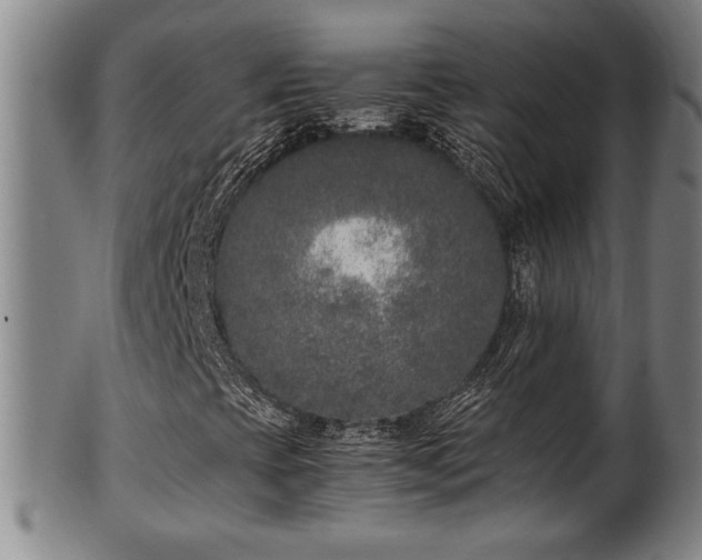 X0000100351393200806061103