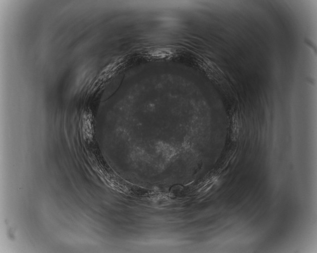 X0000100351394200806061103