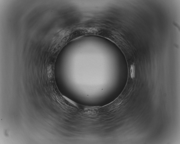X0000100351395200806061103