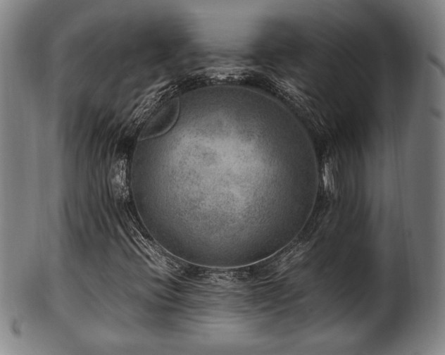 X0000100351396200806061103