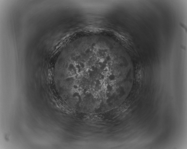 X0000100351397200806061103