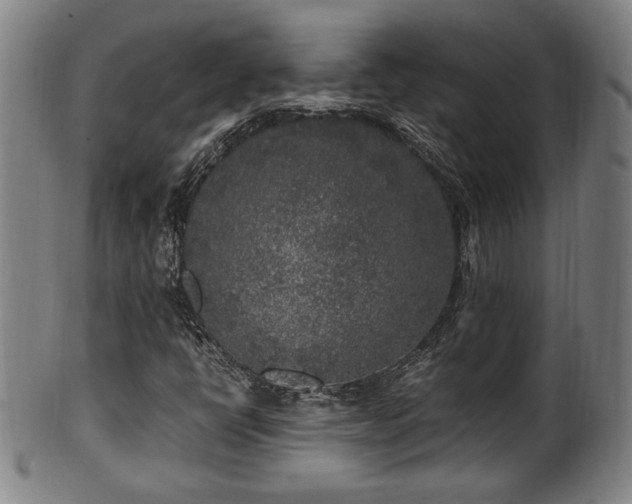 X0000100351398200806061103