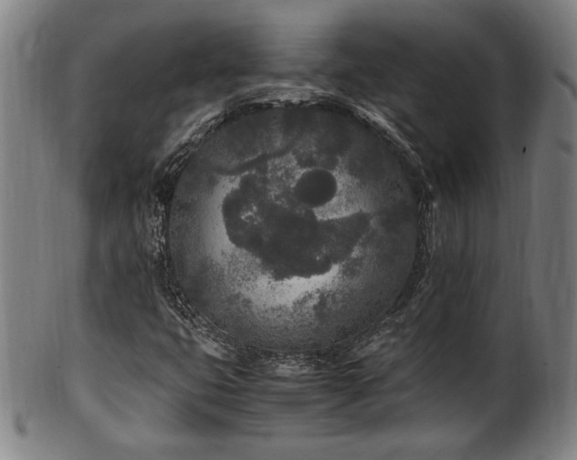 X0000100351399200806061103