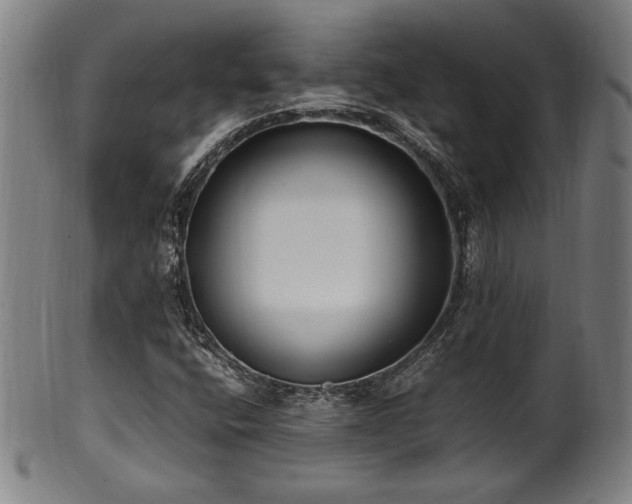 X0000100351400200806061103
