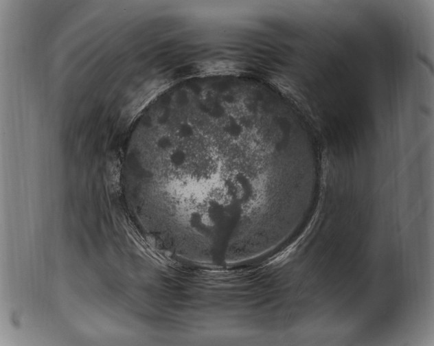 X0000100351401200806061103