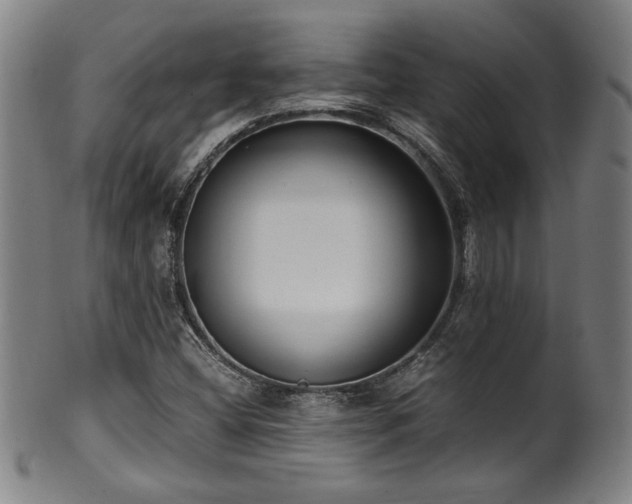 X0000100351404200806061103
